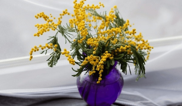 2025年冰箱品牌大比拼:海尔、容声、美的、西门子谁更胜一筹?